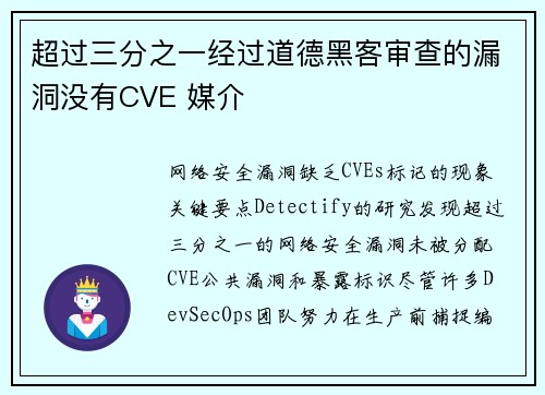 超过三分之一经过道德黑客审查的漏洞没有CVE 媒介